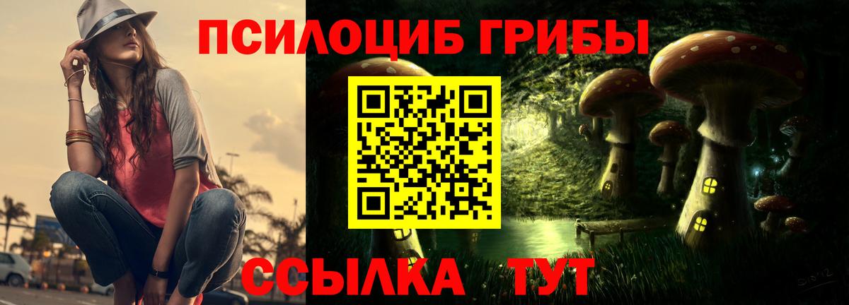 Азнакаево  Псилоцибиновые грибы мицелий  Вход с VPN  Галлюциногенные грибы Cubensis 